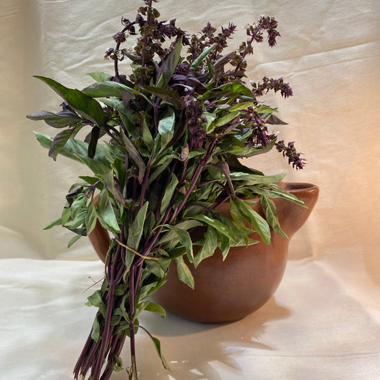 Albahaca